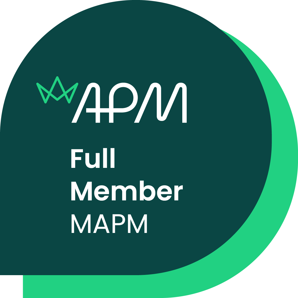 Human and AI skills in Project Management